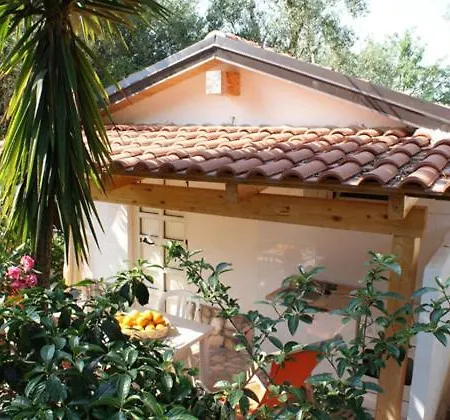 Aparthotel Villaggio Chalet Degli Ulivi Marina di Camerota