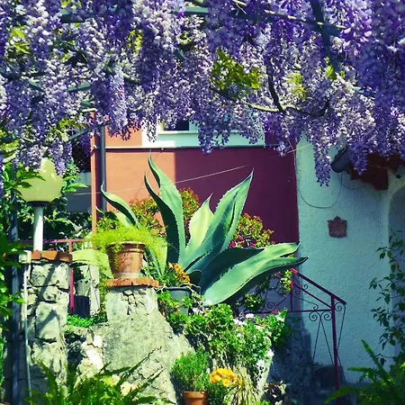 Aparthotel Villaggio Chalet Degli Ulivi Marina di Camerota