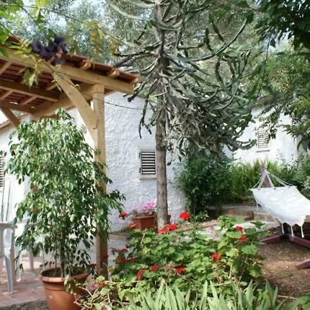 Villaggio Chalet Degli Ulivi Marina di Camerota