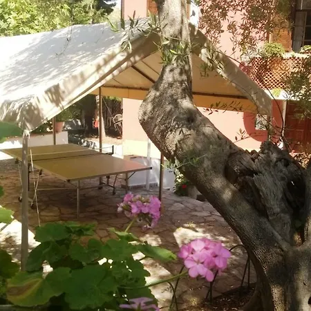 Villaggio Chalet Degli Ulivi Aparthotel Marina di Camerota